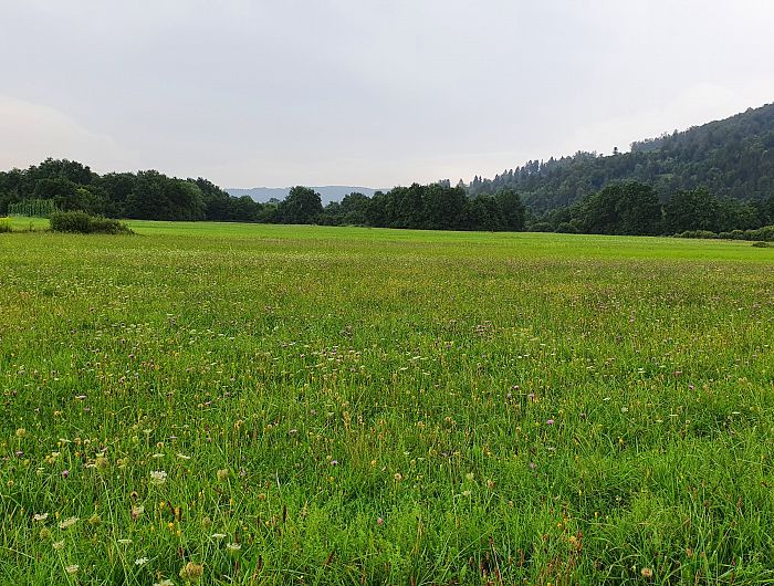 Popis habitatov Malo Mlacevo