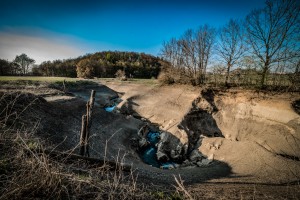 foto1a Veliko retje Peter Zakrajšek