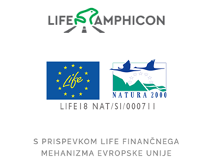 logotipi LIFE AMPHICON