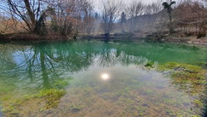 Zelenka, Foto T. Stepišnik